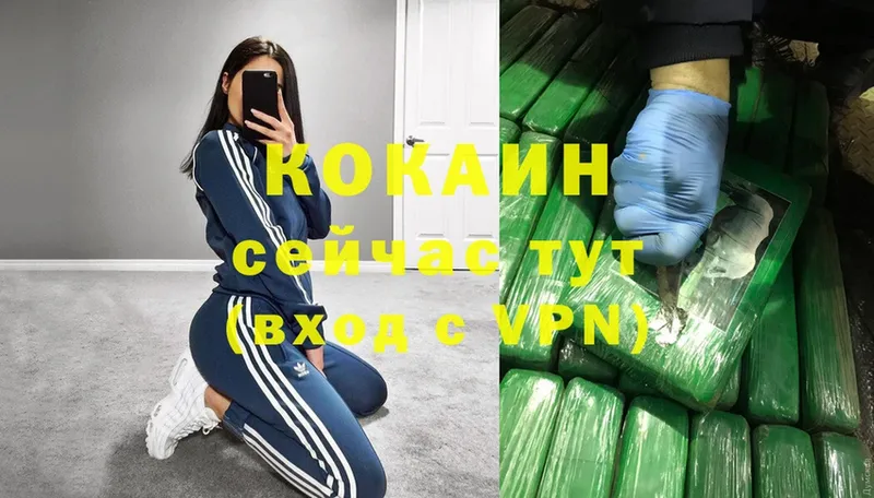 COCAIN FishScale  где купить наркоту  Электрогорск 